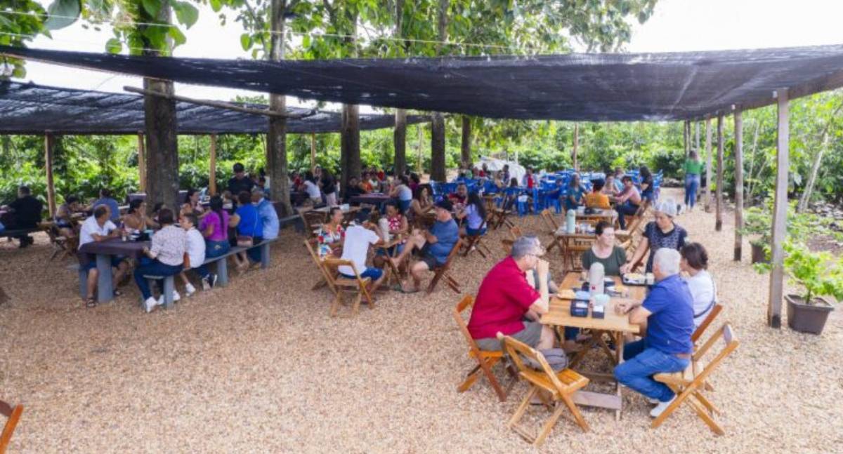 Crescimento da cafeicultura em Rondônia impulsiona visitas à Rota Turística do Café - News Rondônia