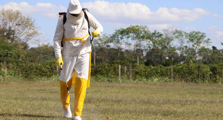 DEFENSIVOS AGRÍCOLAS: Governo de Rondônia intensifica trabalho de conscientização sobre os riscos do uso indiscriminado de agrotóxicos - News Rondônia