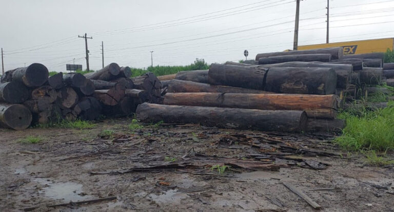 Polícia Militar Ambiental realiza leilão de bens apreendidos e doados - News Rondônia