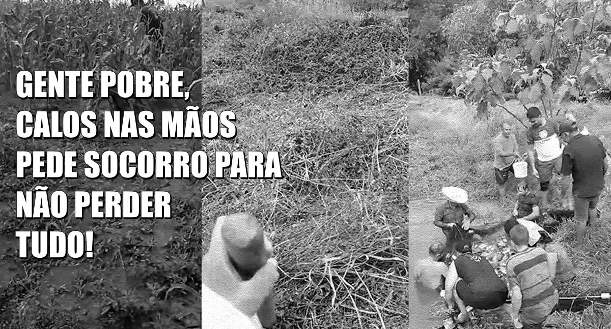 Mãos calejadas, vivendo no desespero e no medo: é esta a situação das mil famílias na Resex Jacy Paraná - News Rondônia