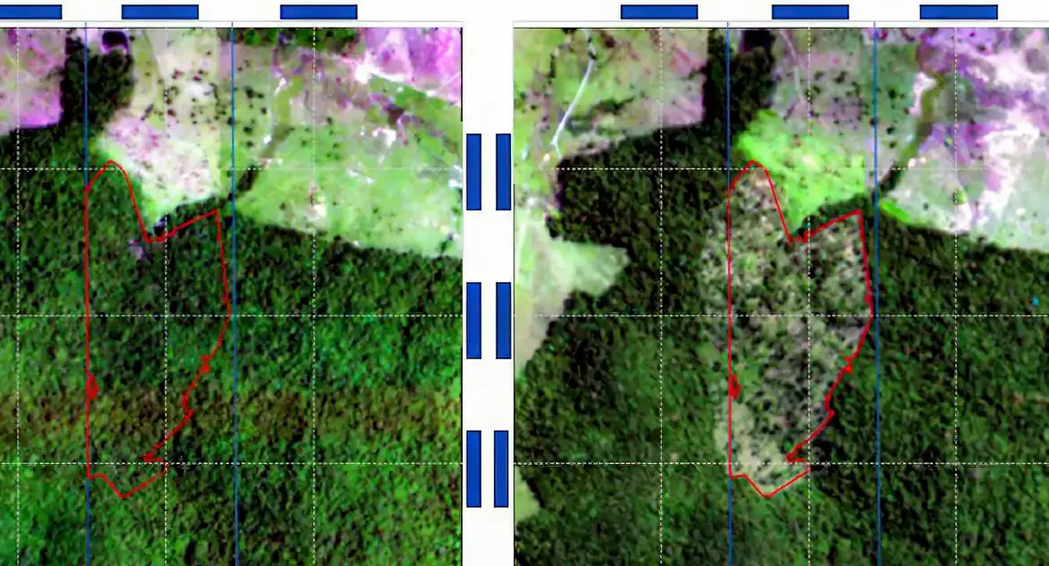 BNDES usa imagens de satélite para barrar empréstimo a desmatadores