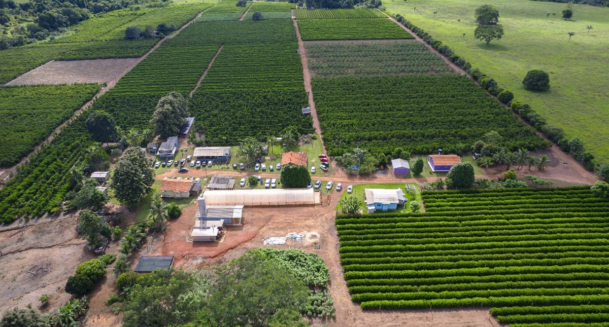 Rondônia faz história: Gestão Marcos Rocha alcança ranking dos principais exportadores de café do Brasil em 2024 - News Rondônia