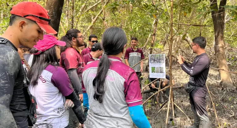 Educação ambiental aproxima estudantes do maior manguezal do planeta