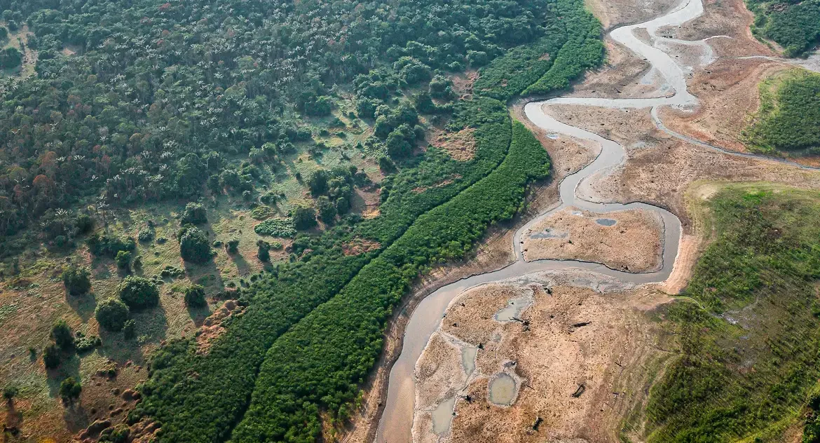 Pesquisa com bactérias na Amazônia pode desenvolver novos medicamentos