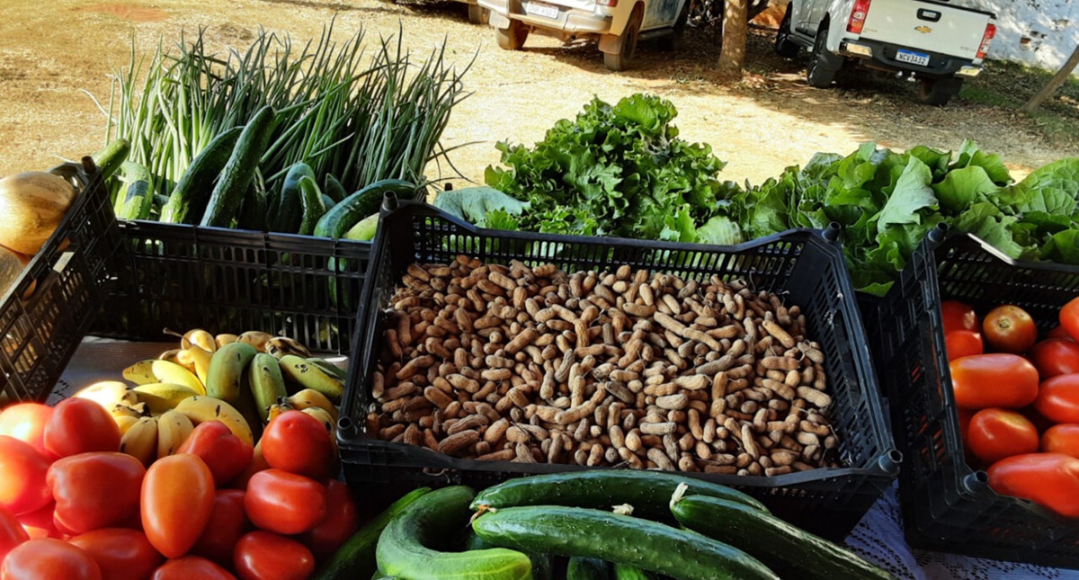 Mais de 350 produtores de Rondônia são selecionados para o Programa de Aquisição de Alimentos Indígena - News Rondônia