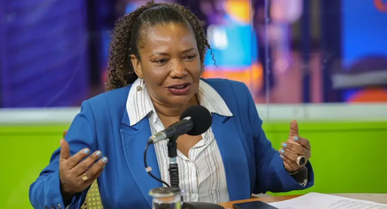 Margareth Menezes: acordos fortalecem relação entre Brasil e Portugal