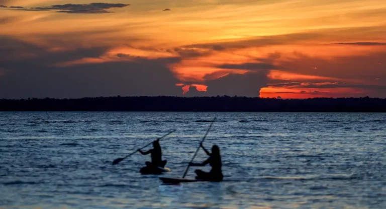 Finanças pautam nova rodada da COP16 da Biodiversidade em Roma