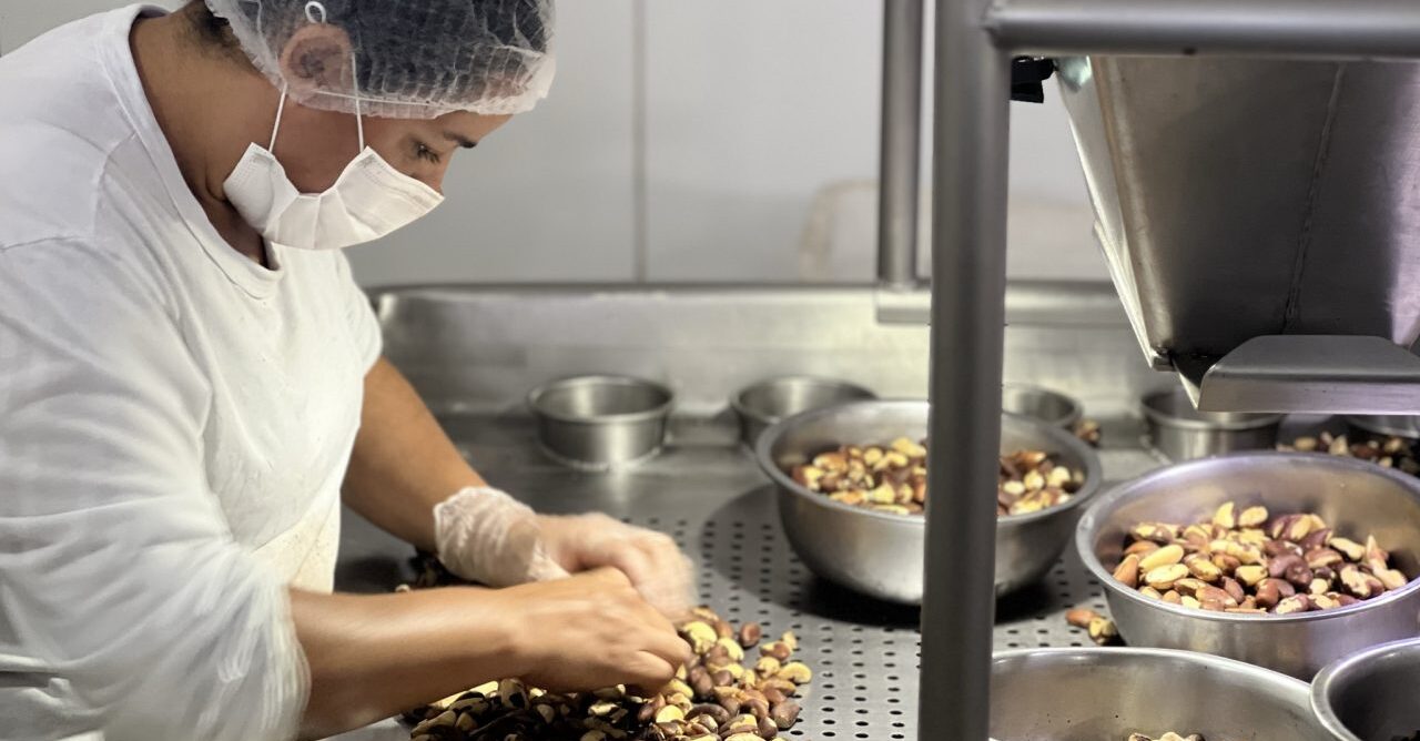 Rondônia lidera índices de emprego e crescimento sob gestão de Marcos Rocha - News Rondônia