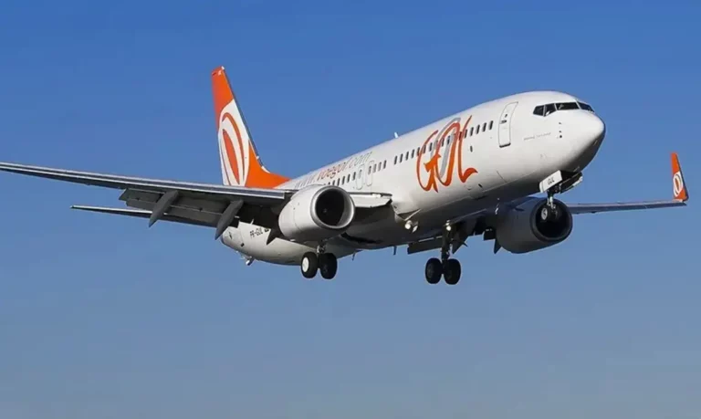 Impacto no Ar: encontro inesperado entre avião da GOL e pássaro em Brasília - News Rondônia