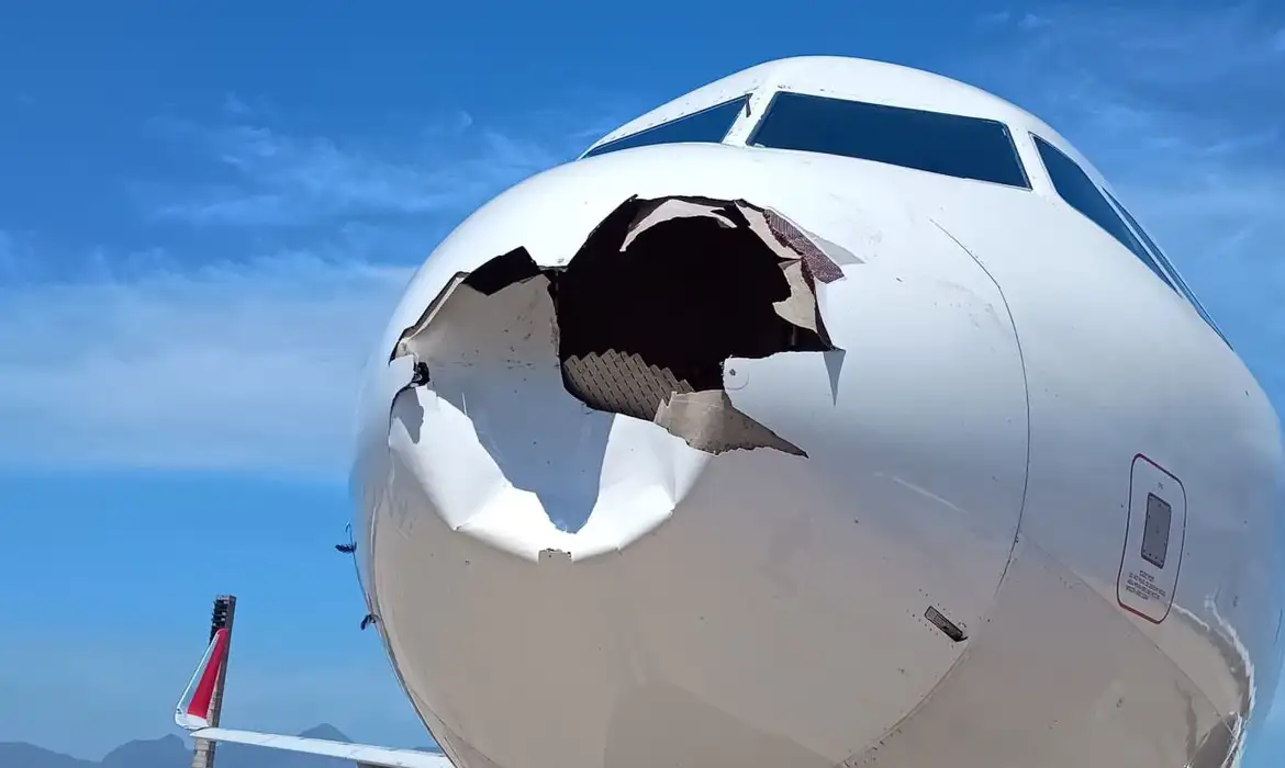 Impacto no Ar: encontro inesperado entre avião da GOL e pássaro em Brasília - News Rondônia