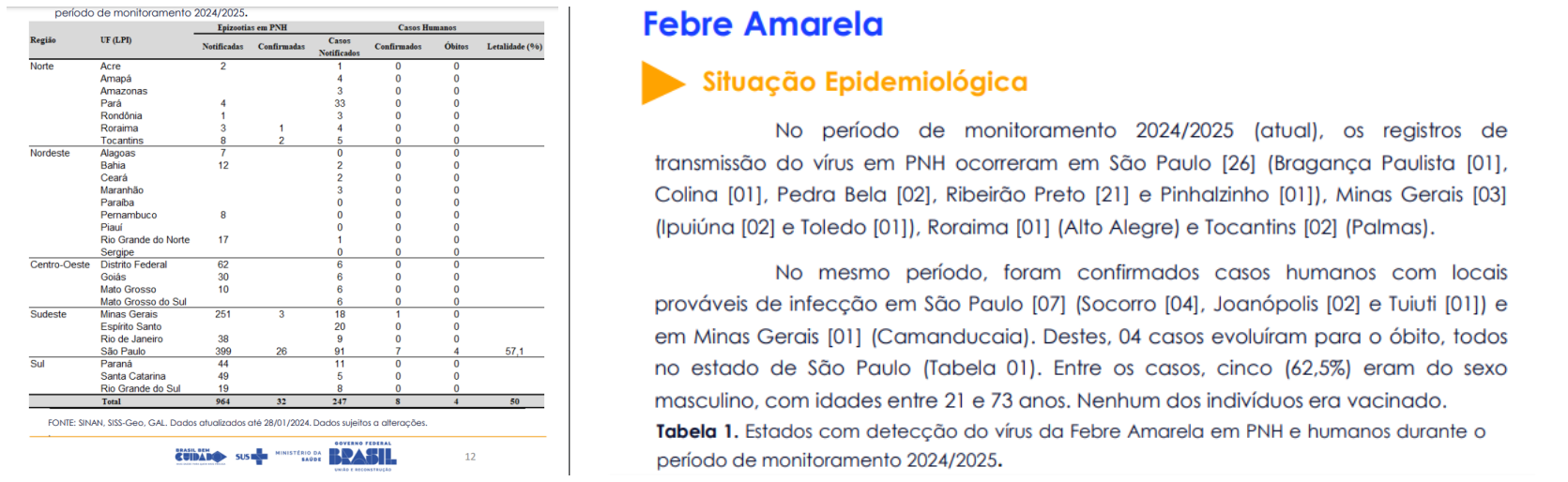 Brasil registra oito casos de febre amarela em humanos; quatro deles evoluíram para óbito - News Rondônia