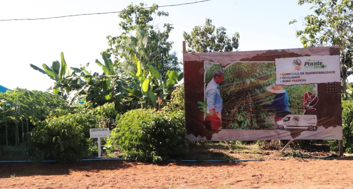 Assistência técnica e tecnologia transformam a realidade da agricultura familiar de Rondônia - News Rondônia