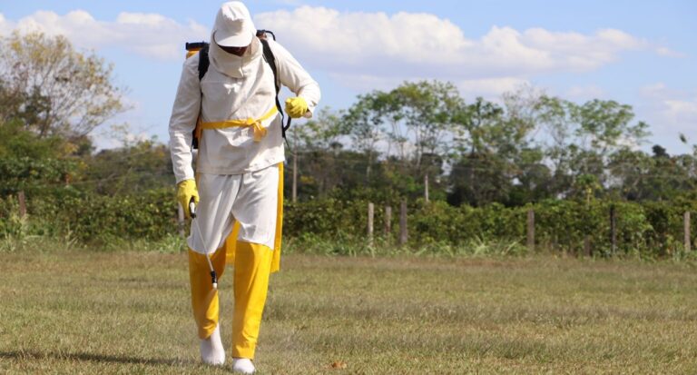 Decreto que regula a Lei Estadual de Agrotóxicos assegura proteção ambiental e saúde em Rondônia - News Rondônia