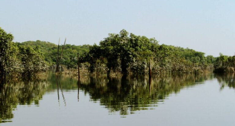 Porto Velho sediará em março a etapa estadual da 5ª Conferência Nacional do Meio Ambiente