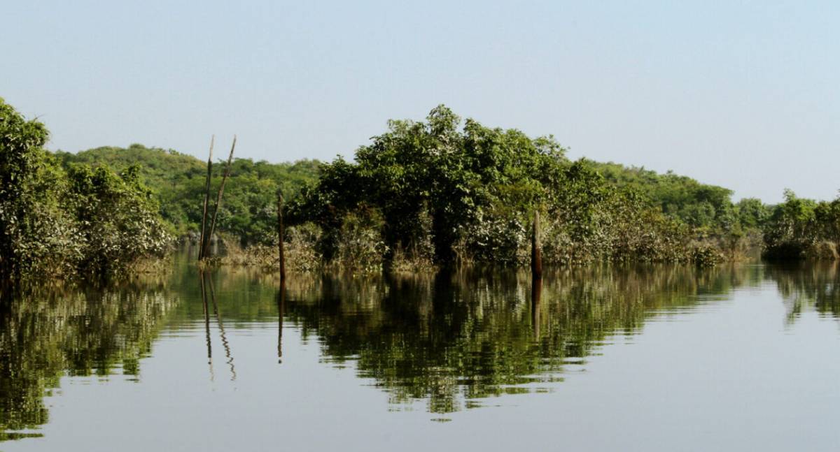 Porto Velho sediará em março a etapa estadual da 5ª Conferência Nacional do Meio Ambiente