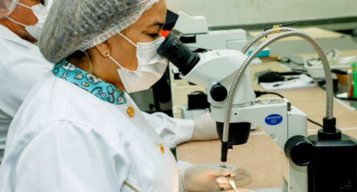 O Governo de RO amplia a vigilância e o controle da doença de Chagas no estado, alcançando importantes progressos - News Rondônia O Governo de RO amplia a vigilância e o controle da doença de Chagas no estado, alcançando importantes progressos - News Rondônia