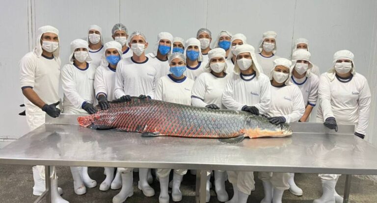 A integração expande a área comercial para a indústria de peixes no Vale do Paraíso