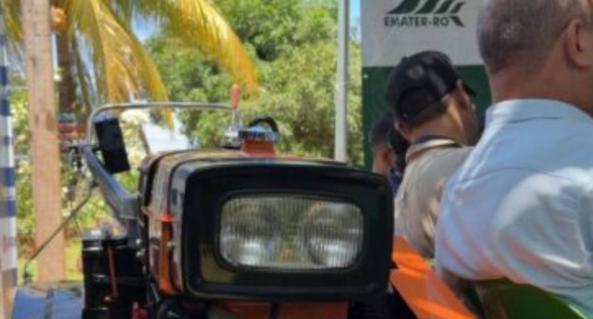 Em Rolim de Moura, concurso estadual premia o café de maior qualidade de Rondônia com um trator - News Rondônia