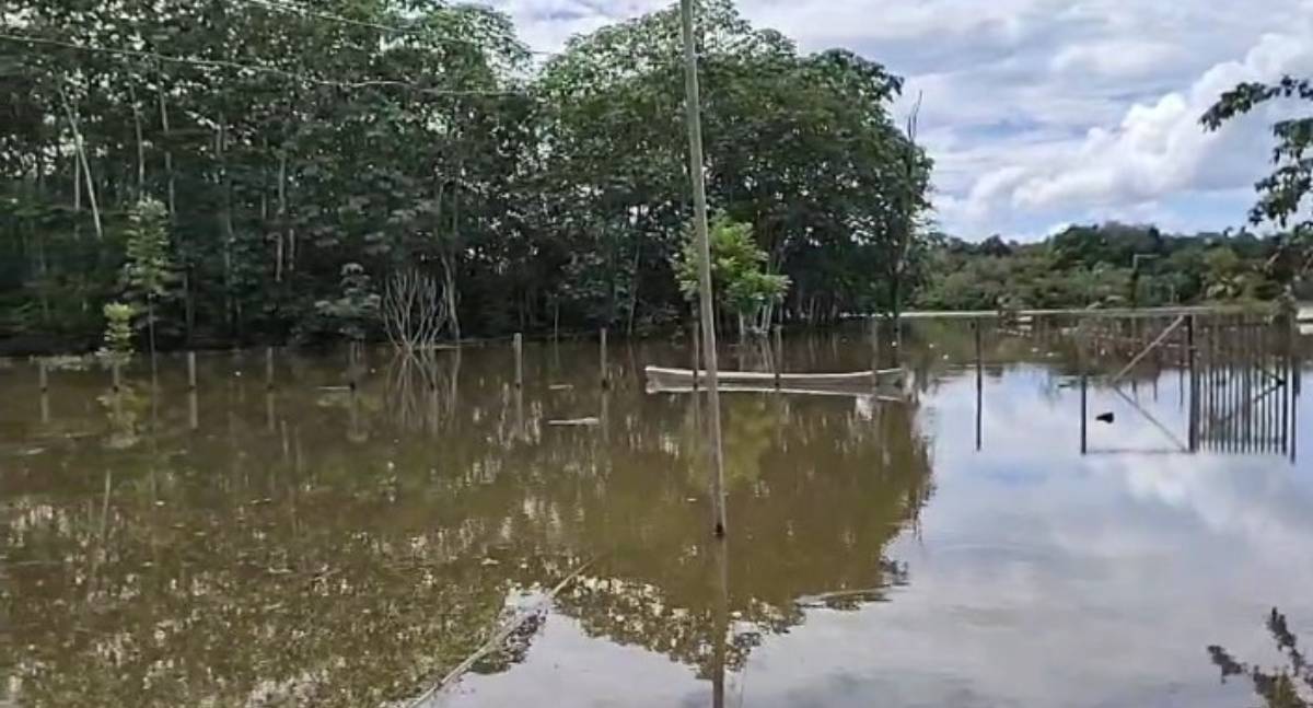 Nível do Rio Madeira continua subindo e alcança 15 metros em Porto Velho - News Rondônia Nível do Rio Madeira continua subindo e alcança 15 metros em Porto Velho - News Rondônia