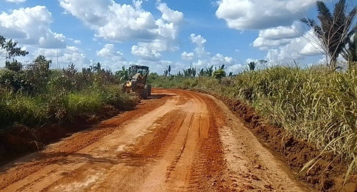 Ieda Chaves recomenda a estadualização da Linha 67, entre a BR-364 e o distrito de Rio Pardo - News Rondônia