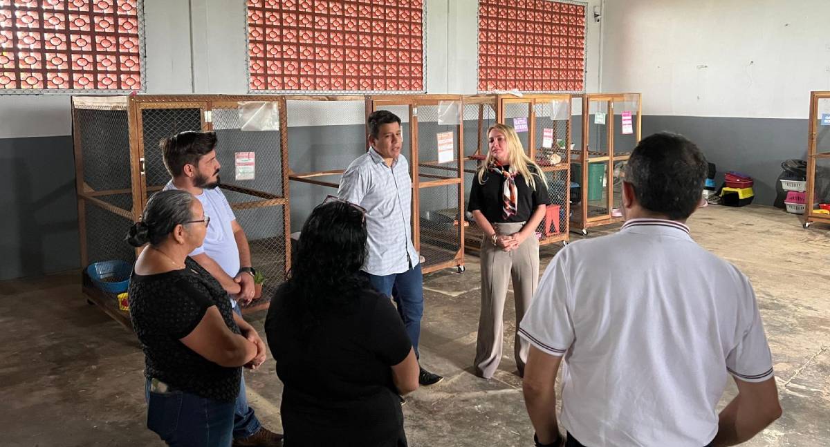 Ieda Chaves garante apoio à Associação Vira Lata Vira Amor de Cacoal - News Rondônia