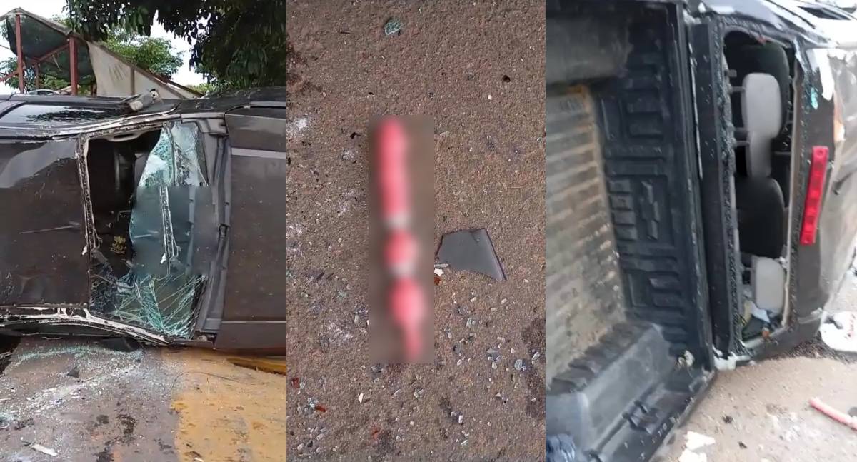 Após caminhonete capotar em acidente, condutor abandona veículo e 'amiguinho' em Rondônia