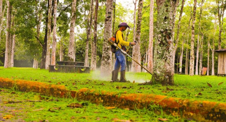 Secretaria Municipal de Meio Ambiente promove mutirão de limpeza no Parque Circuito em Porto Velho - News Rondônia