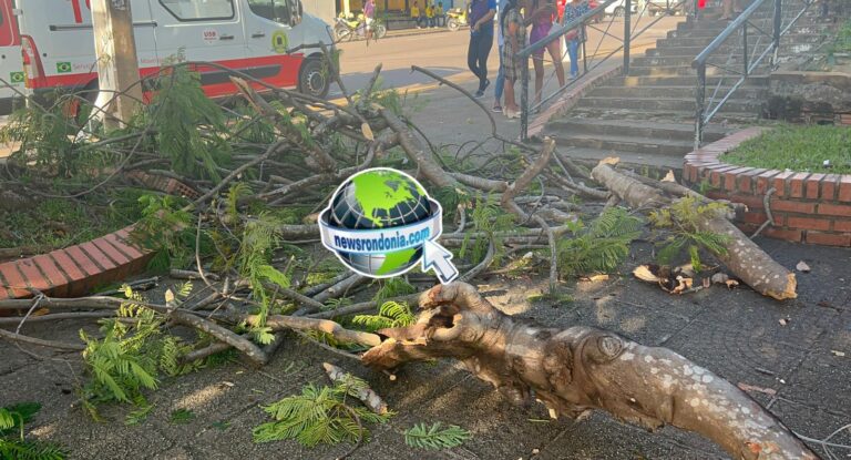Idosa é atingida por galhos de árvore na praça do Baú