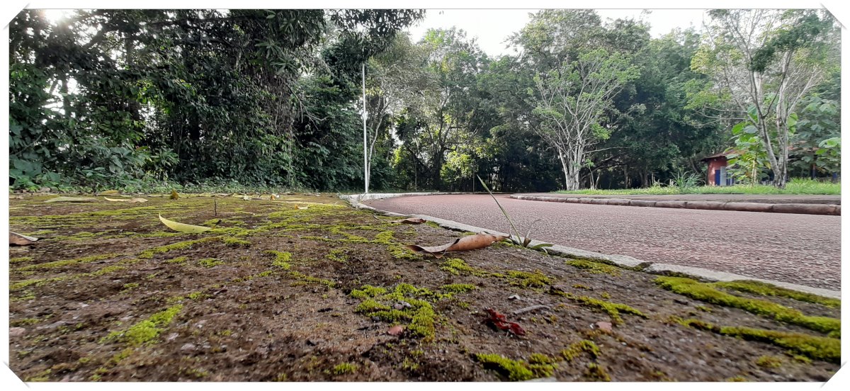 UNIR emite alerta contra golpes e explica que jamais realiza envios de mensagens e e-mails pedindo dinheiro - News Rondônia