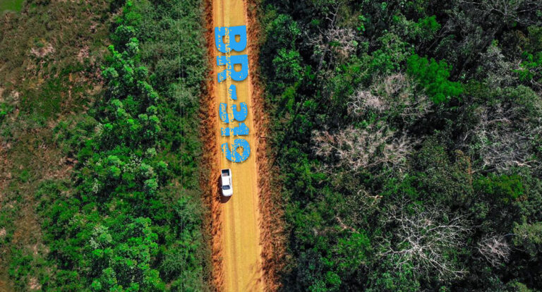 Desmatamento na BR-319 dispara e dados são alarmantes: 71% no Amazonas contra 13% na Amazônia Legal - News Rondônia