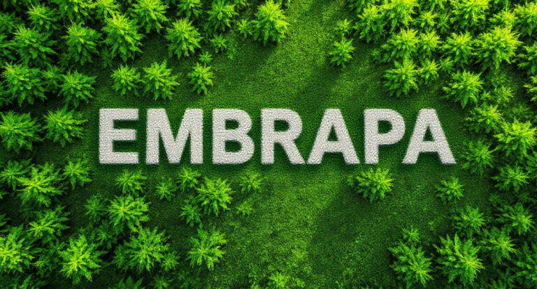 Concurso da Embrapa: Com vagas para Rondônia, últimas horas para pagar inscrição - News Rondônia