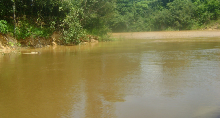 A natureza adormecida – por Marquelino Santana - News Rondônia