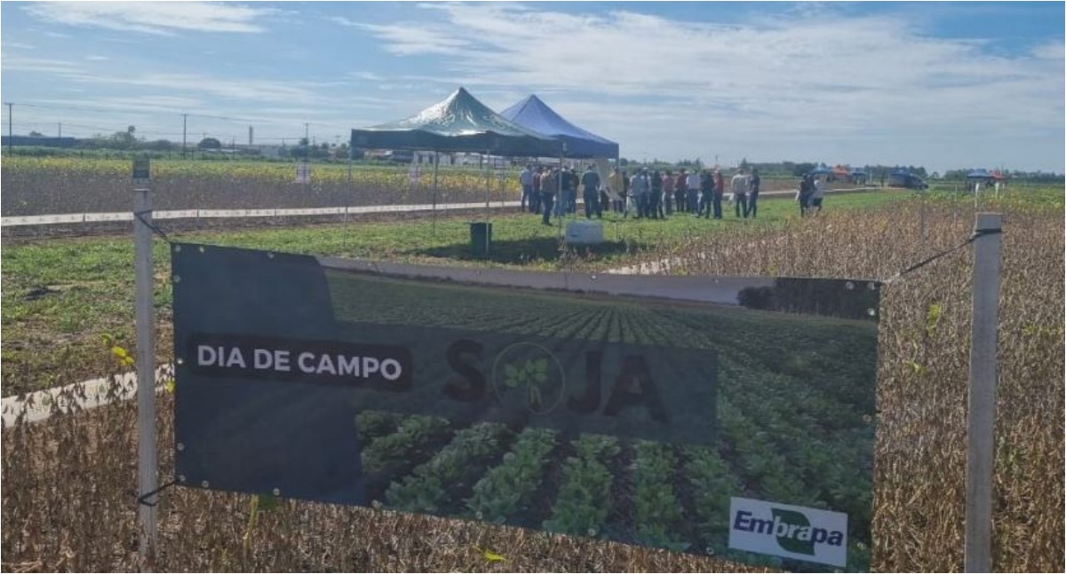Embrapa Rondônia realiza Dia de Campo de Soja