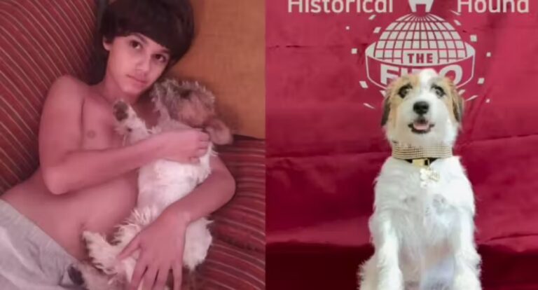 Cachorrinhos do filme Ainda Estou Aqui ganham Oscar canino: Fido Awards