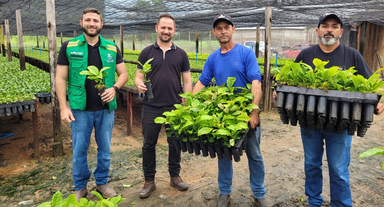 Prefeitura de Jaru realiza o transporte de mudas de café clonal para produtores rurais da Linha Nova