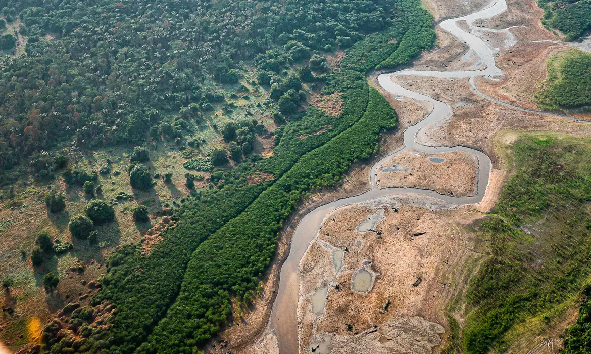 Descoberta de bactérias na Amazônia pode abrir caminho para novos medicamentos - News Rondônia