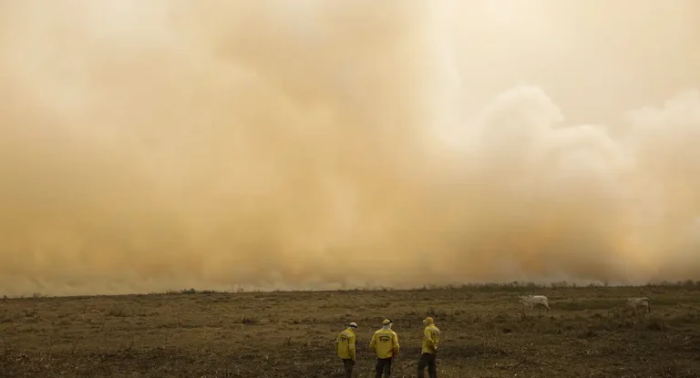 Déficit de chuvas no verão afeta estoque hídrico do solo e provoca prejuízos à agricultura, segundo Inmet