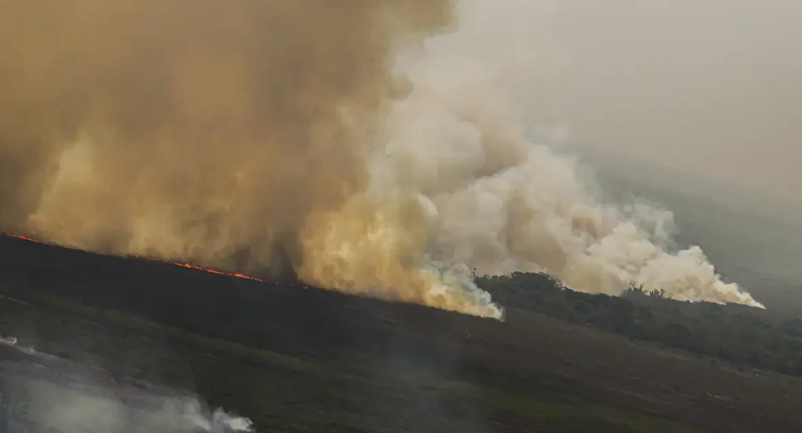 Dino homologa parcialmente plano anti-incêndios na Amazônia e Pantanal