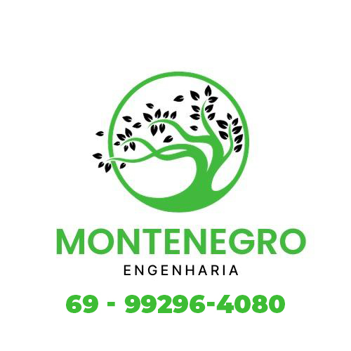 Recebimento da Licença Ambiental: VAPOR PORTO VELHO EIRELI - News Rondônia
