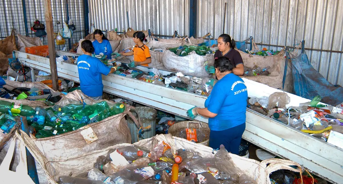 Em dois anos, país aumenta reciclagem de embalagens PET em 14% - News Rondônia