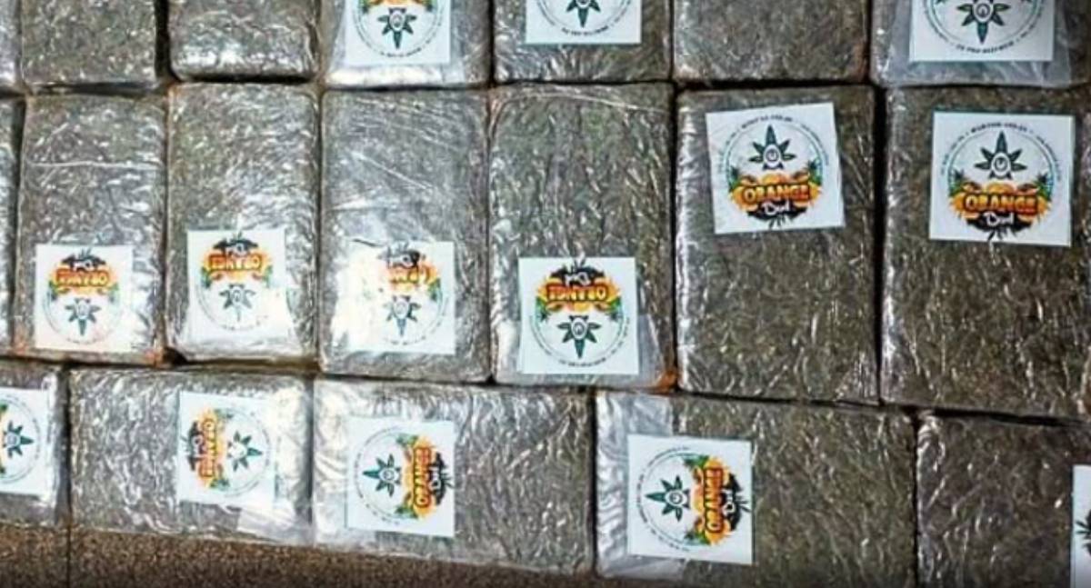 Polícia Civil de Rondônia prende suspeito de tráfico de drogas após apreensão de 20 kg de entorpecentes