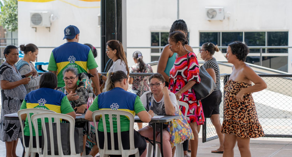 O programa Castra+Rondônia chega à Praça CEU, oferecendo castrações gratuitas para cães e gatos - News Rondônia