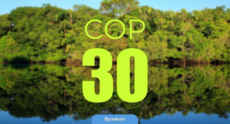 COP-30: Marcos Rocha cria grupo para coordenar participação de Rondônia - News Rondônia