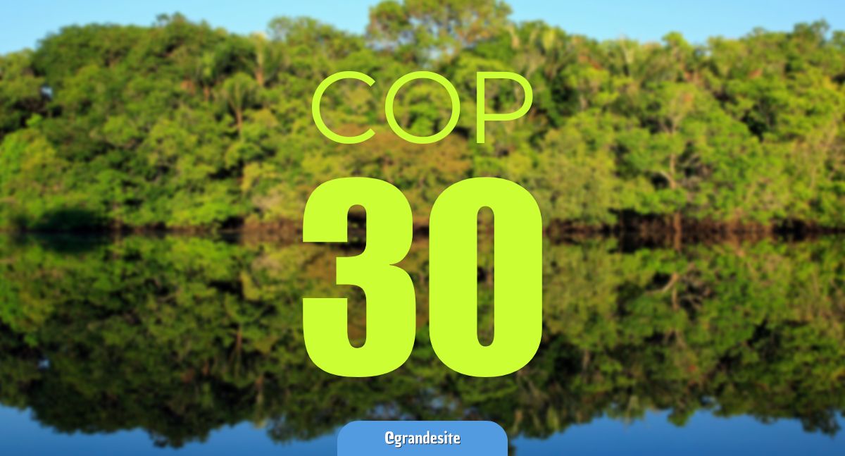 COP-30: Marcos Rocha cria grupo para coordenar participação de Rondônia - News Rondônia