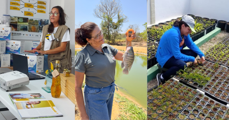 SEMANA DA MULHER: Mulheres são protagonistas do desenvolvimento regional - News Rondônia