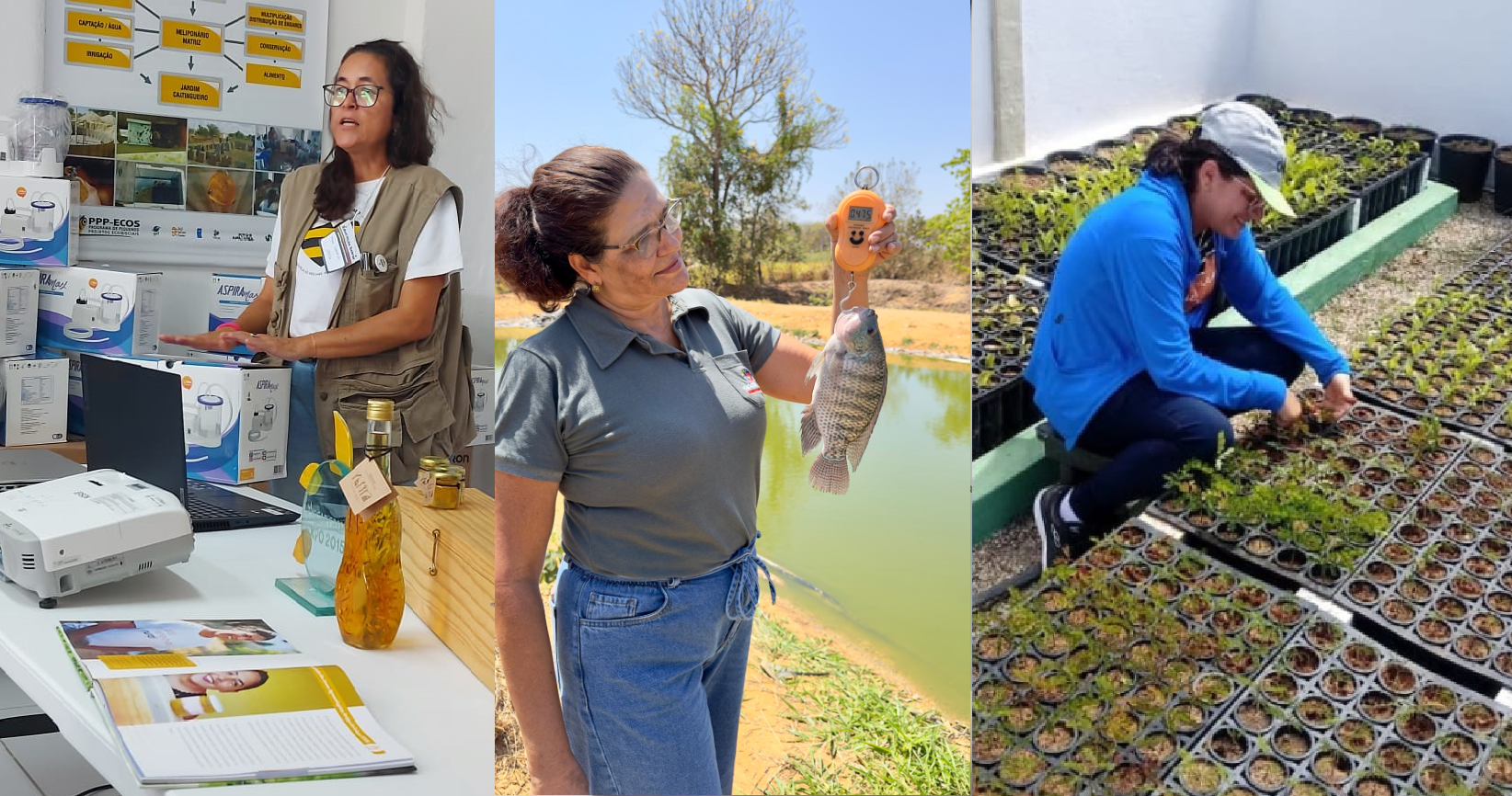 SEMANA DA MULHER: Mulheres são protagonistas do desenvolvimento regional - News Rondônia