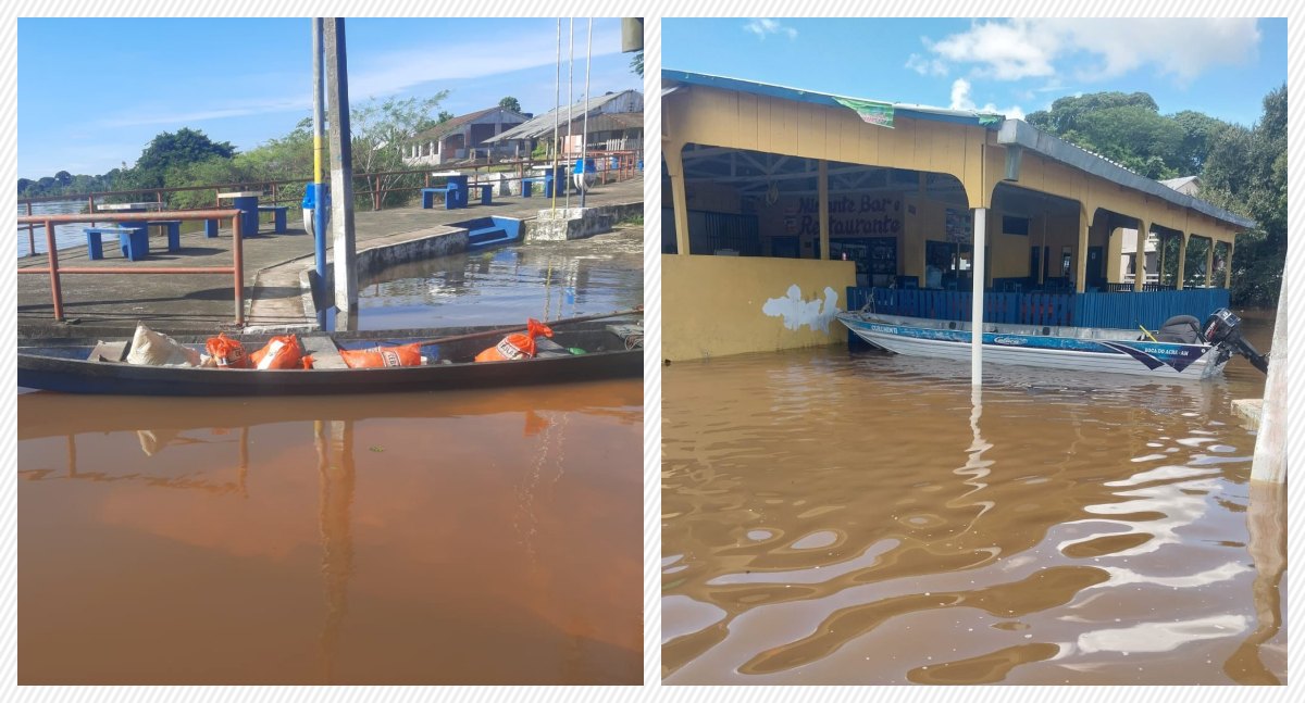 Rio Abunã avança e moradores pedem socorro: “Peixes estão nadando no assoalho” - News Rondônia