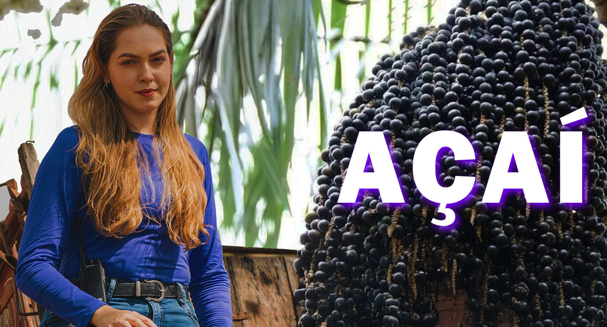 Jovem pesquisadora desenvolve técnica que pode transformar a produção de açaí no Acre - News Rondônia