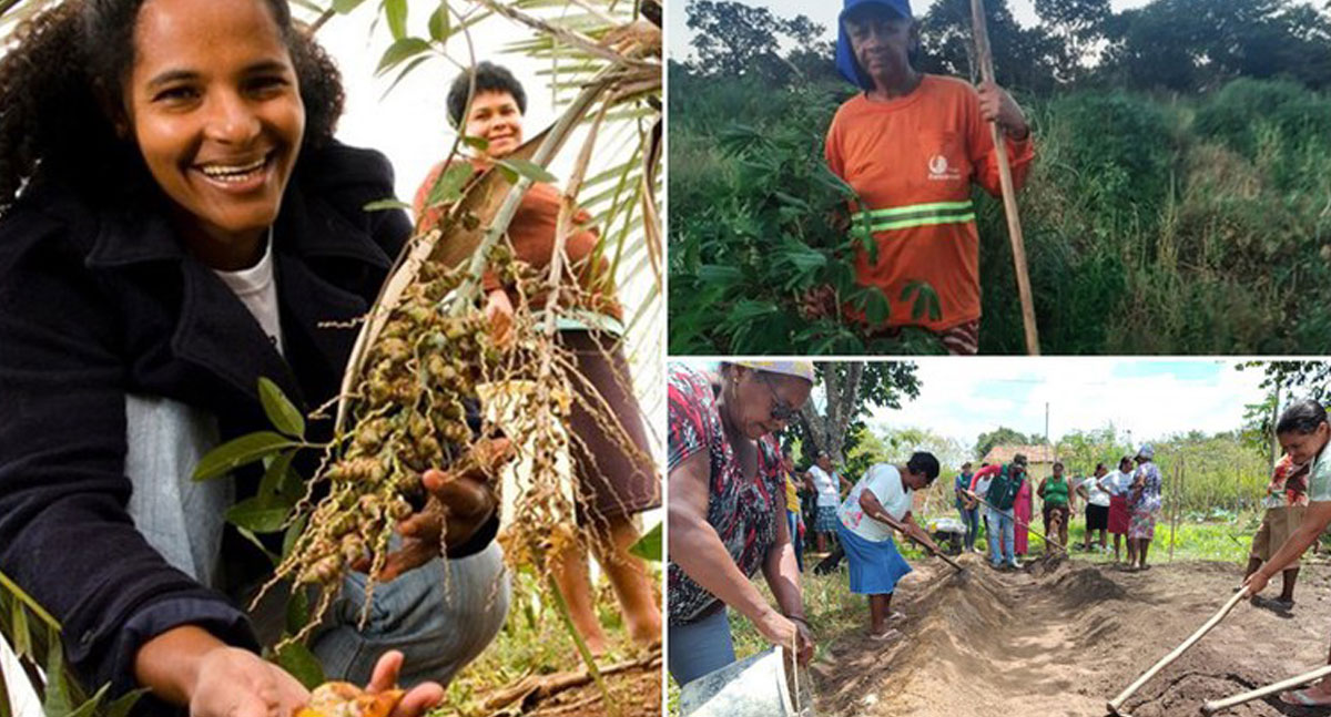 Fomento Rural transforma a vida no campo com 77% de beneficiárias mulheres - News Rondônia