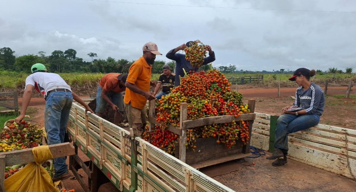 Feira livre de domingo oferece transporte gratuito para agricultores escoarem produção